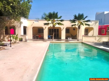 Image annonce vngp-252